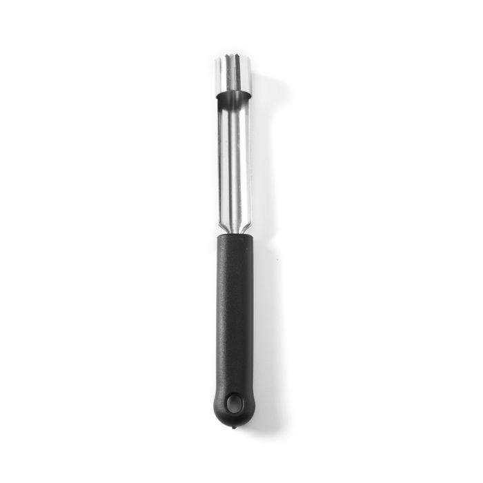 856291_apple_corer_2016.jpg