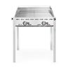 Green Fire with 2 burners, HENDI, Profi Line, 2x GN 1/1 barbecue grids, 11,6kW, 740x612x(H)825mm 1
