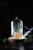Glass dome with vent, HENDI, Cocktail dome, ⌀130x(H)282mm 2