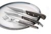 Steak knife Jumbo - set of 6, HENDI, Profi Line, 6 pcs., (L)255mm 2
