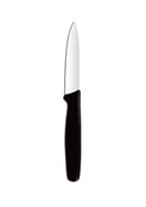 Paring knife pointed