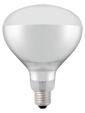 Infrared heat bulb, HENDI, White, 230V/250W, ⌀125x(H)170mm