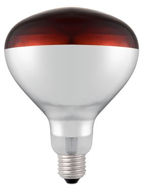 Infrared heat bulb, HENDI, Red, 230V/250W, ⌀125x(H)170mm