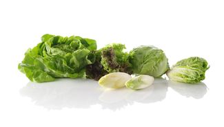 Odstredivka na šalát, HENDI, 12L, Zelená, ⌀335x(H)430mm 1