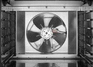 Food dehydrator Kitchen Line, HENDI, Kitchen Line, 7 trays, 230V/500W, 347x505x(H)320mm 1