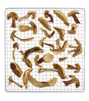 Food dehydrator Kitchen Line, HENDI, Kitchen Line, 7 trays, 230V/500W, 347x505x(H)320mm 1
