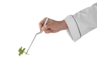 Sušių pincetas, HENDI, (L)210mm