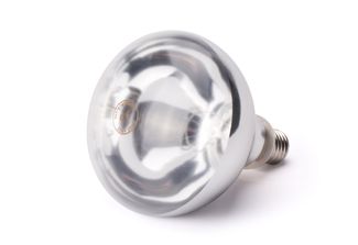 Żarówka grzewcza na podczerwień, HENDI, biały, 230V/250W, ⌀125x(H)170mm
