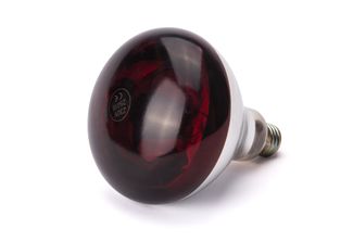 Infraraudonųjų spindulių šilumos lemputė, HENDI, Raudona, 230V/250W, ⌀125x(H)170mm 1
