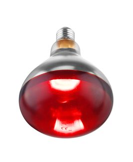 Infraraudonųjų spindulių šilumos lemputė, HENDI, Raudona, 230V/250W, ⌀125x(H)170mm 1