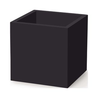 Negro
