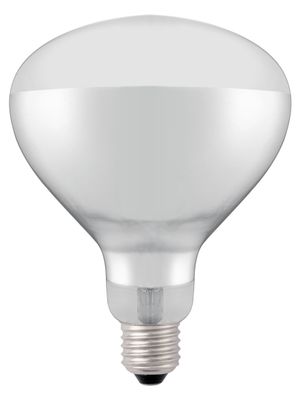 919200_shatterproof_bulb-white_02.jpg