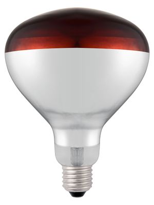 919217_shatterproof_bulb-red_02.jpg