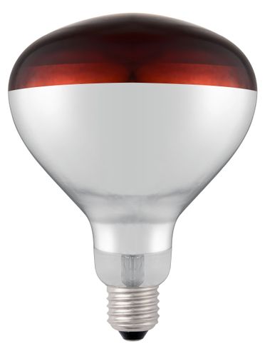 Infračervená ohrievacia žiarovka, HENDI, Červená, 230V/250W, ⌀125x(H)170mm