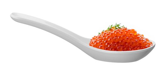 Melamine appetizer spoon, HENDI, White, 130x45mm 1