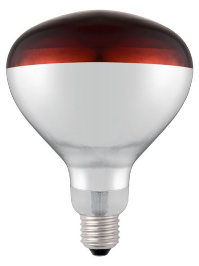 Infrared heat bulb, HENDI, Red, 230V/250W, ⌀125x(H)170mm 1