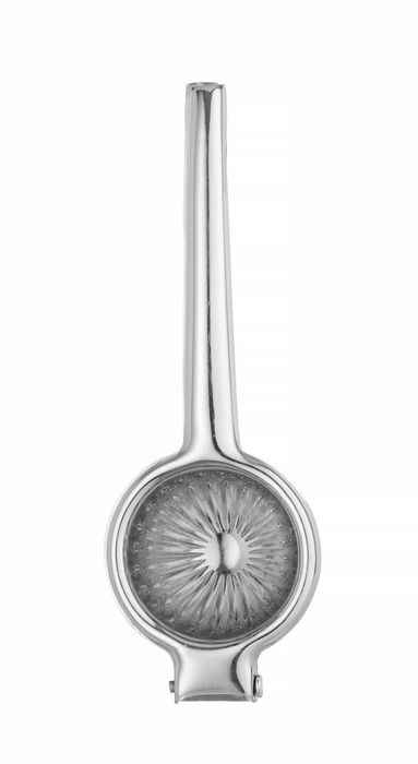 Citrus squeezer