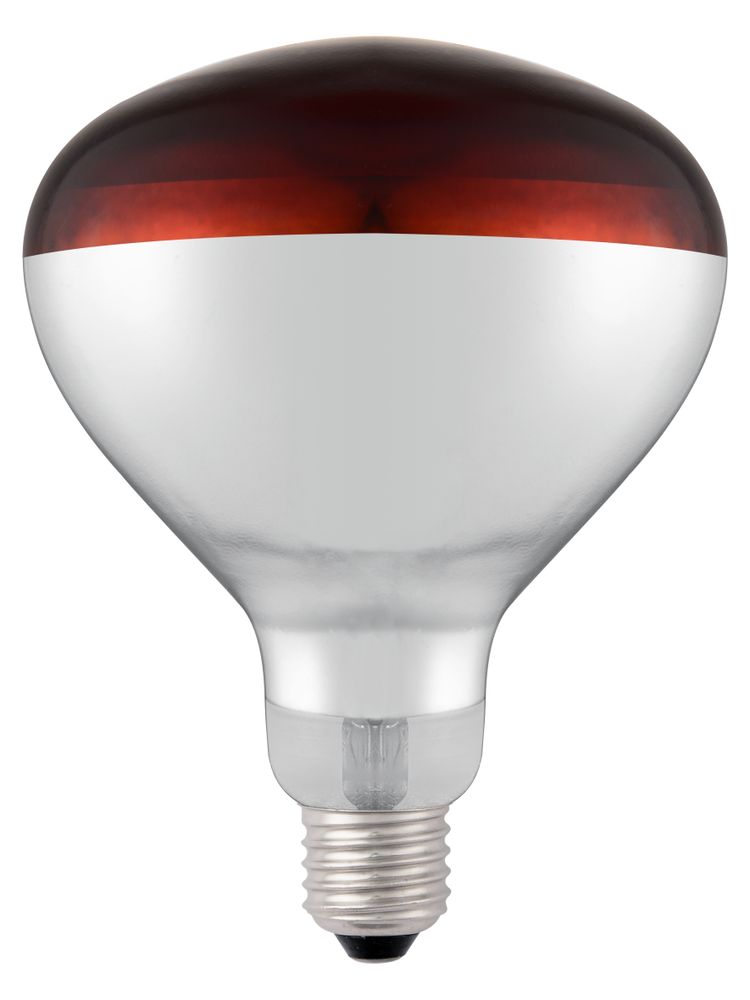 Infrared heat bulb, HENDI, 230V/250W, ø125x(H)170mm